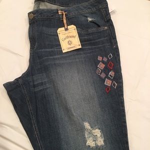 Democracy Distressed Cropped w/embroidery size 24